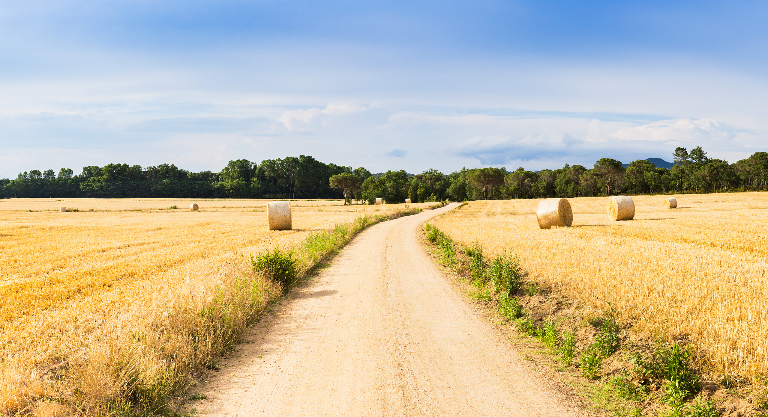 paysage-agricole